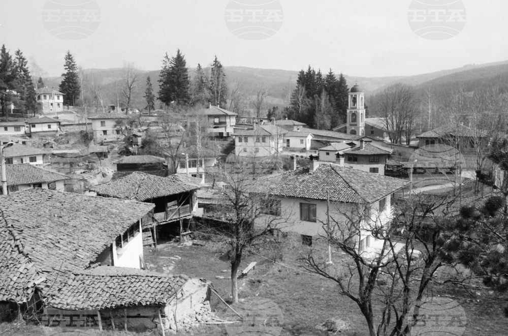 Копривщица