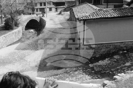 Копривщица