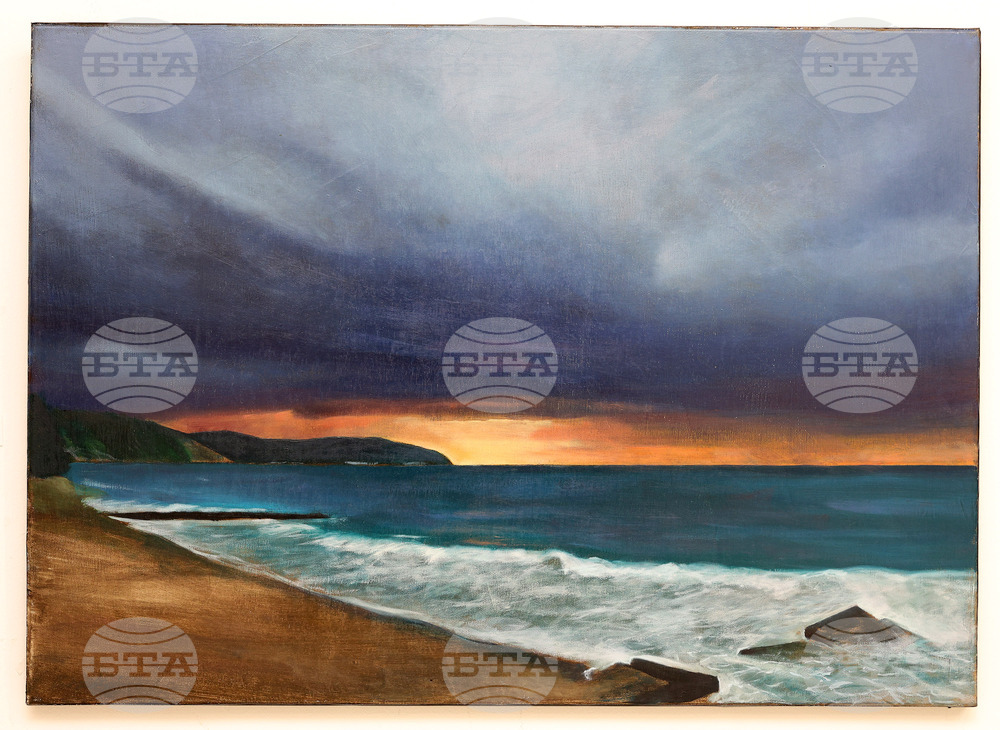 Варна - „Актуални пейзажи” - изложба - Цанко Цанков