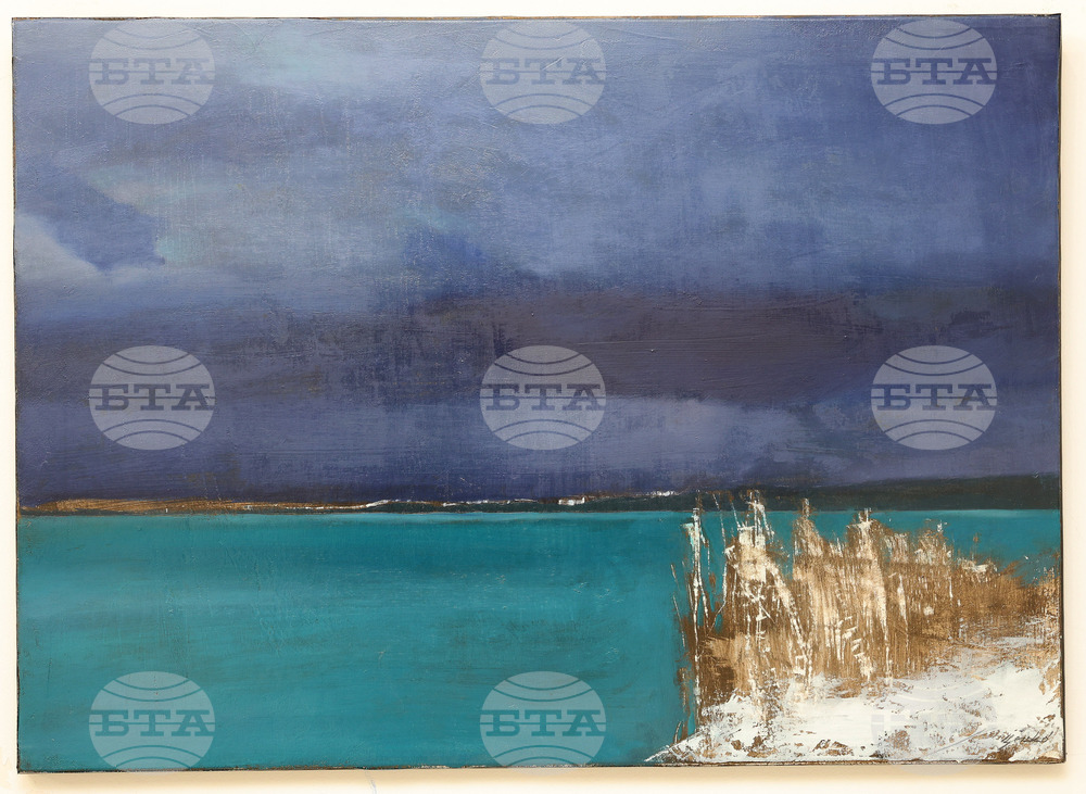 Варна - „Актуални пейзажи” - изложба - Цанко Цанков