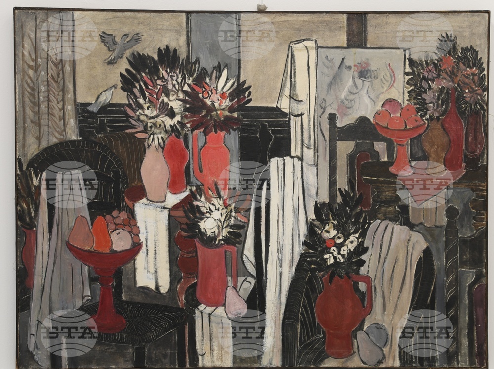 Русе - Василка Монева - изложба