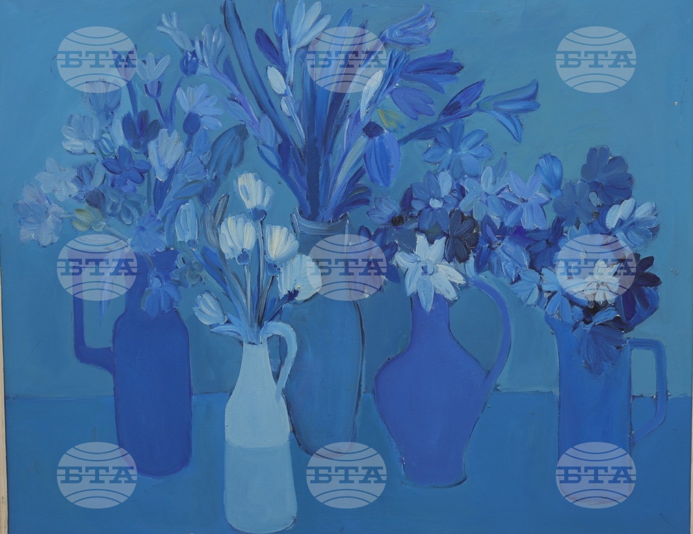 Русе - Василка Монева - изложба