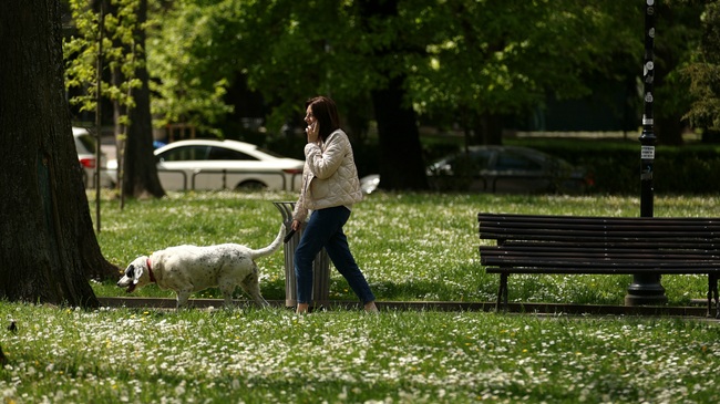 The Weather on May 20