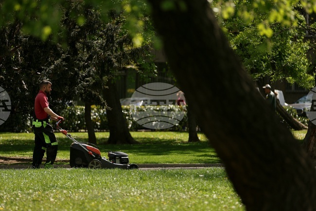 Прогноза за времето