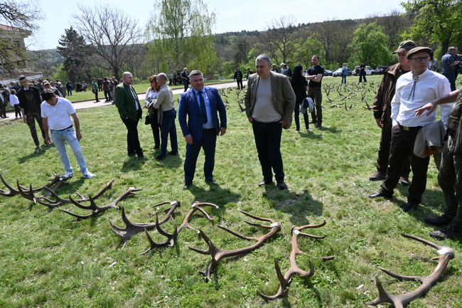 Община Разград: В ловно стопанство „Воден - Ири Хисар“ се проведе X-то юбилейно изложение Преглед на паднали рога от благороден елен