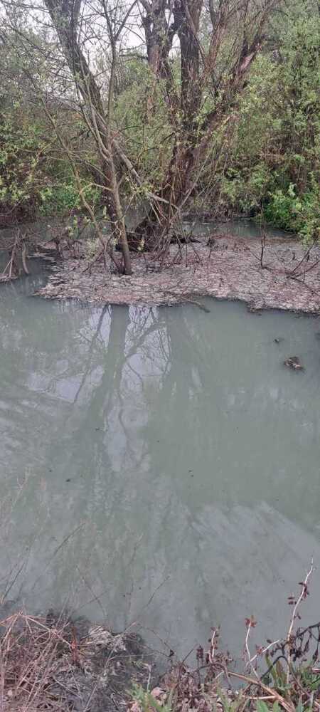 Първоначалните бързи измервания на водата в река Сливнишка показват ниски нива на разтворен кислород в някои от пробите, съобщиха от РИОСВ - София