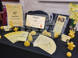 Варна - състезание - ученици