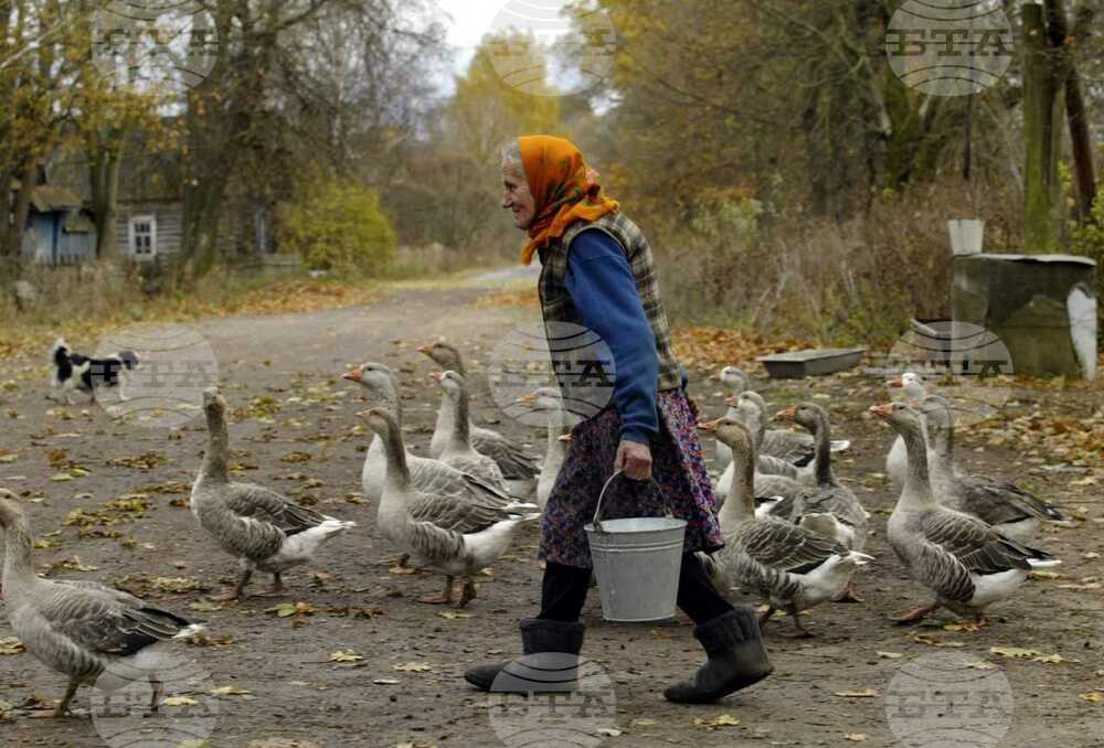 Преди девет години, в деня на 30-годишнината от Чернобилската катастрофа, в Украйна се създава Чернобилски биосферен резерват