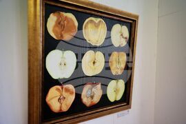 Бургас - НУМСИ "Проф. Панчо Владигеров" - годишна изложба