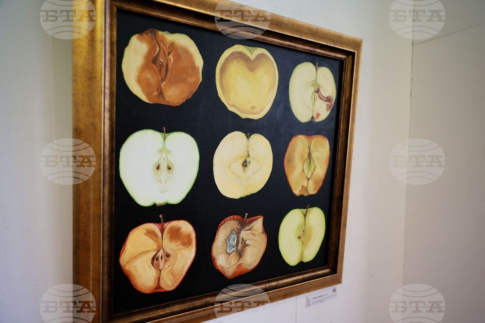 Бургас - НУМСИ "Проф. Панчо Владигеров" - годишна изложба