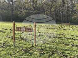 Снимка: Министерството на земеделието и храните