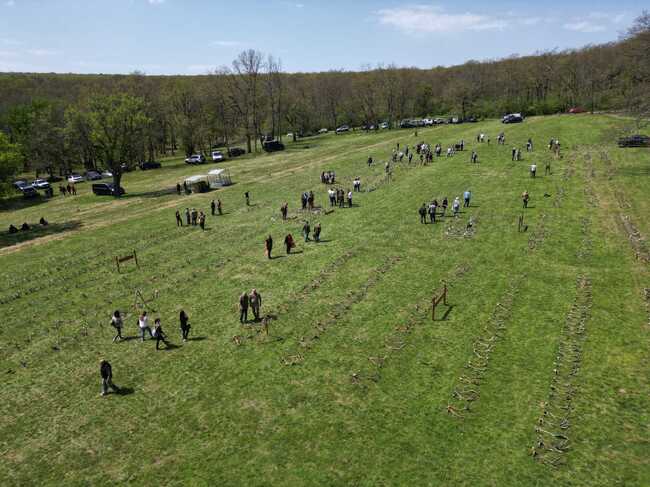 Министерство на земеделието и храните: ДЛС „Воден-Ири Хисар“ е домакин на десетото издание на прегледа на паднали рога от благороден елен