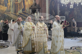 Видин - митрополит Пахомий - литургия