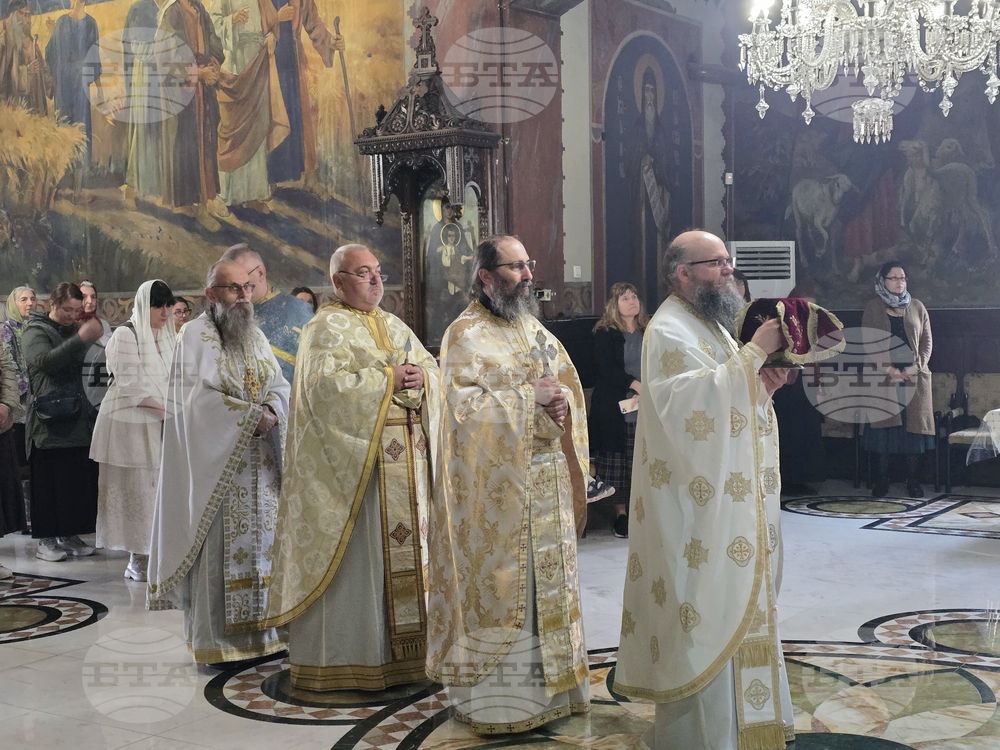 Видин - митрополит Пахомий - литургия