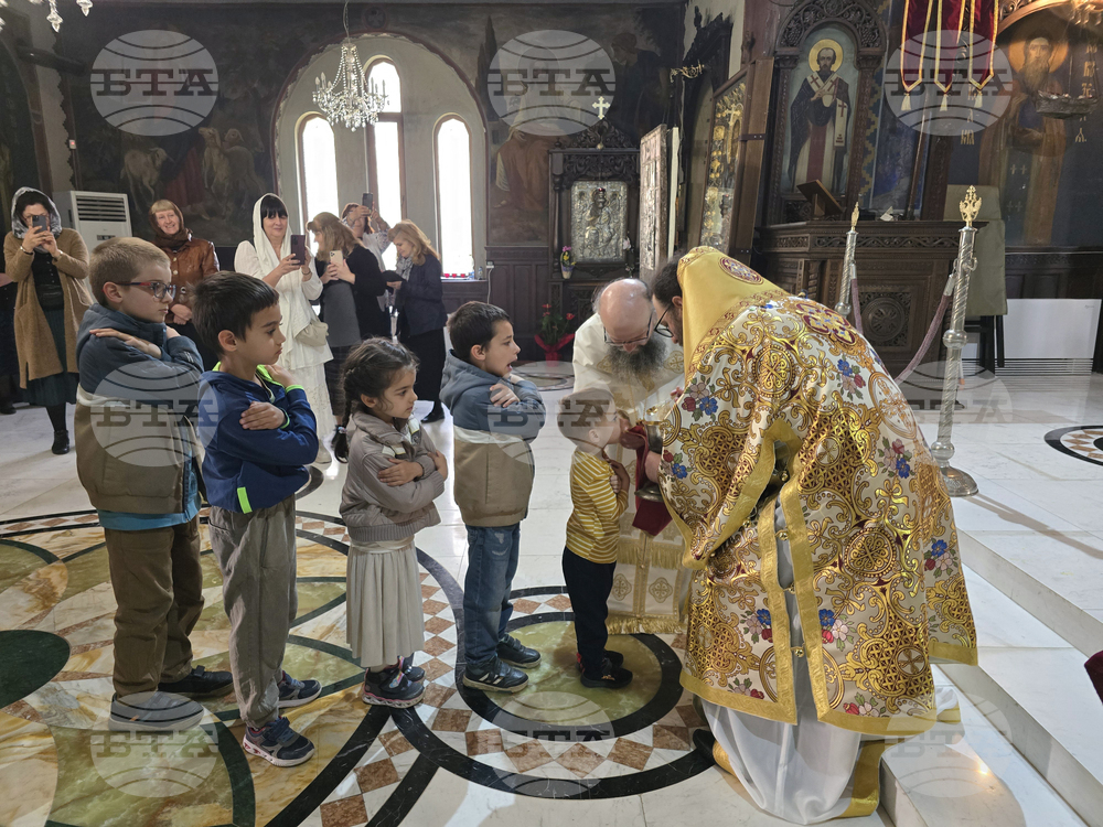 Видин - митрополит Пахомий - литургия