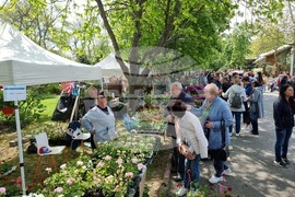 Бургас - изложение „Флора“