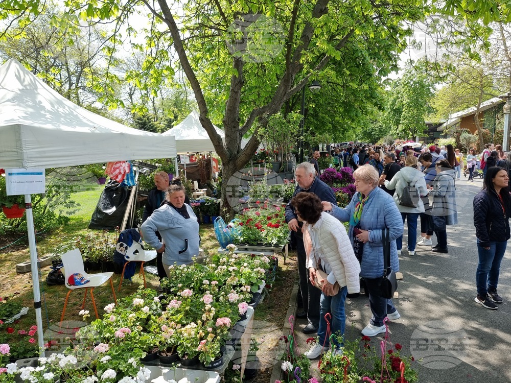 Бургас - изложение „Флора“