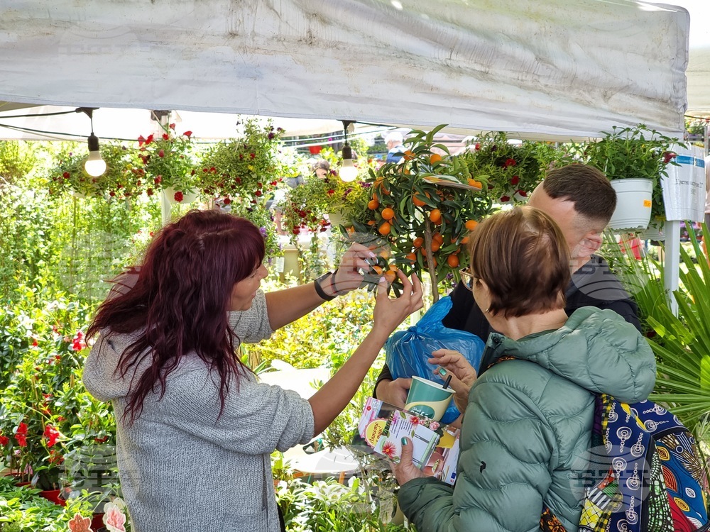 Бургас - изложение „Флора“
