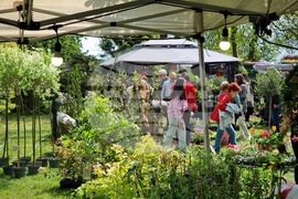 Бургас - изложение „Флора“