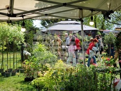 Бургас - изложение „Флора“