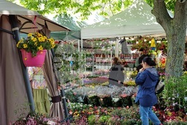 Бургас - изложение „Флора“