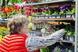 Бургас - изложение „Флора“