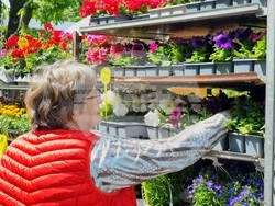 Бургас - изложение „Флора“