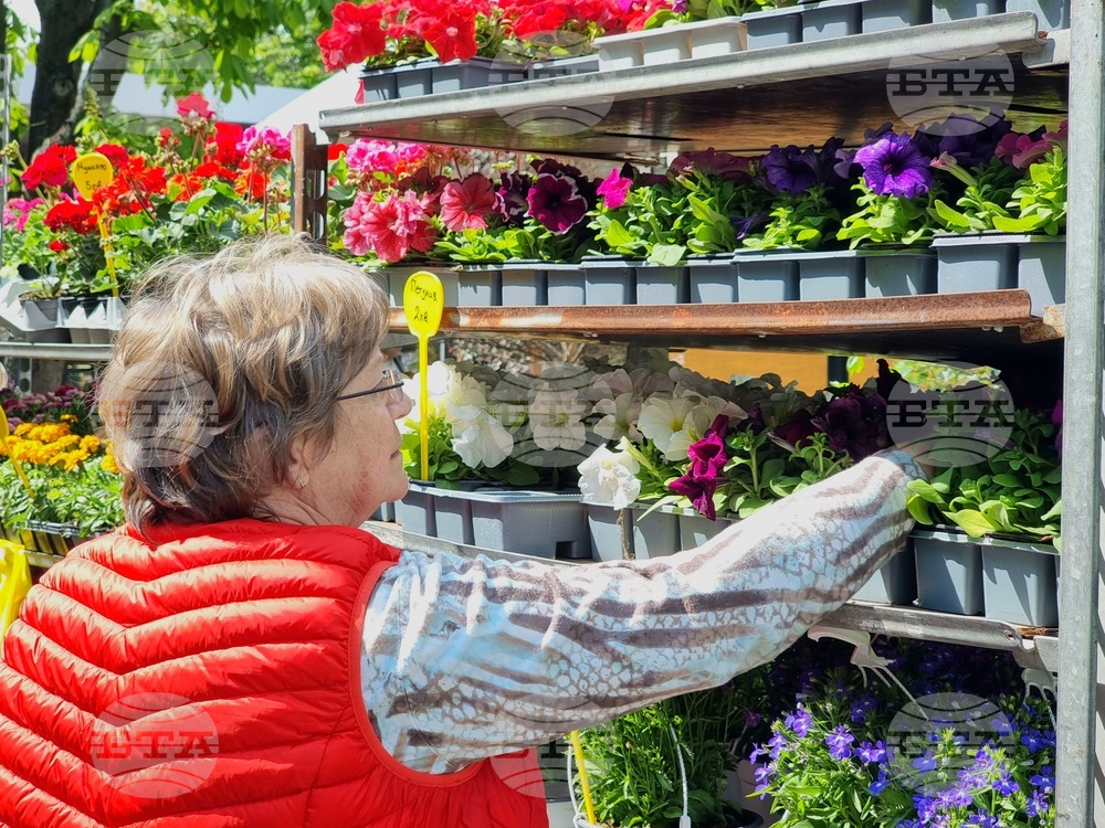 Бургас - изложение „Флора“