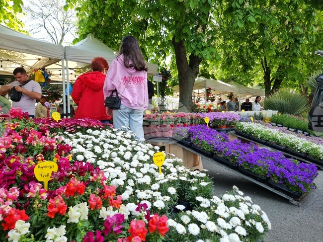 40th Edition of Flora Flower Exhibition Opens in Burgas