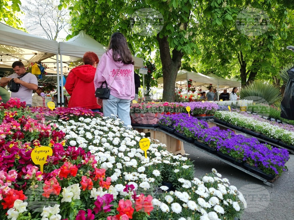 Бургас - изложение „Флора“