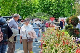 Бургас - изложение „Флора“