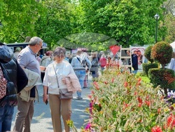 Бургас - изложение „Флора“