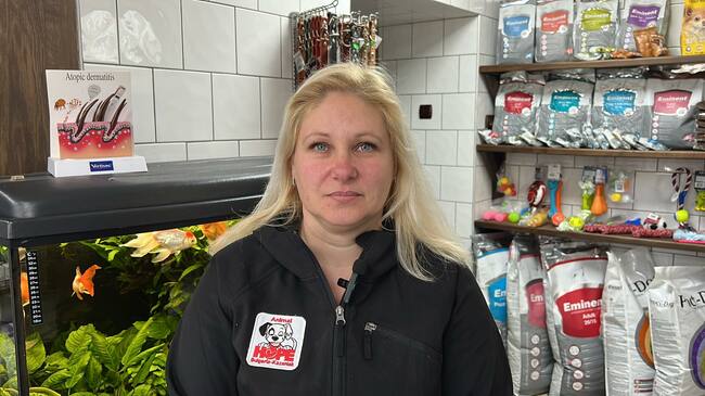 В Казанлък организират кампания в помощ на животни, пострадали или останали без стопани и дом при земетресенията в Турция