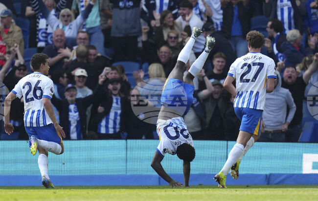 Брайтън ще получи 120 милиона евро за Балеба