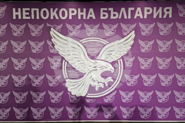 Корнелия Нинова - партия - учредяване