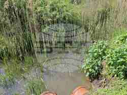 Снимка: Областна администрация Русе 