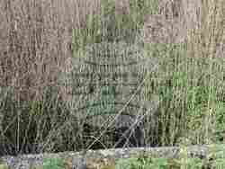 Снимка: Областна администрация Русе 