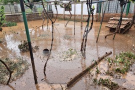 Село Кобиляк - проливен дъжд - наводнени къщи