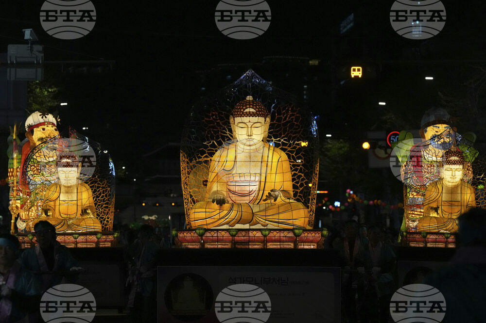 South Korea Lotus Lantern Festival Photo Gallery