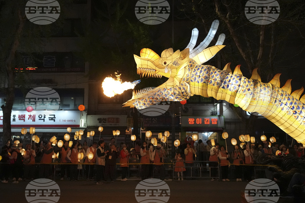 South Korea Lotus Lantern Festival Photo Gallery