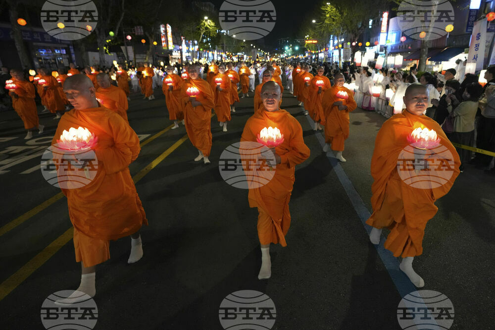 South Korea Lotus Lantern Festival Photo Gallery