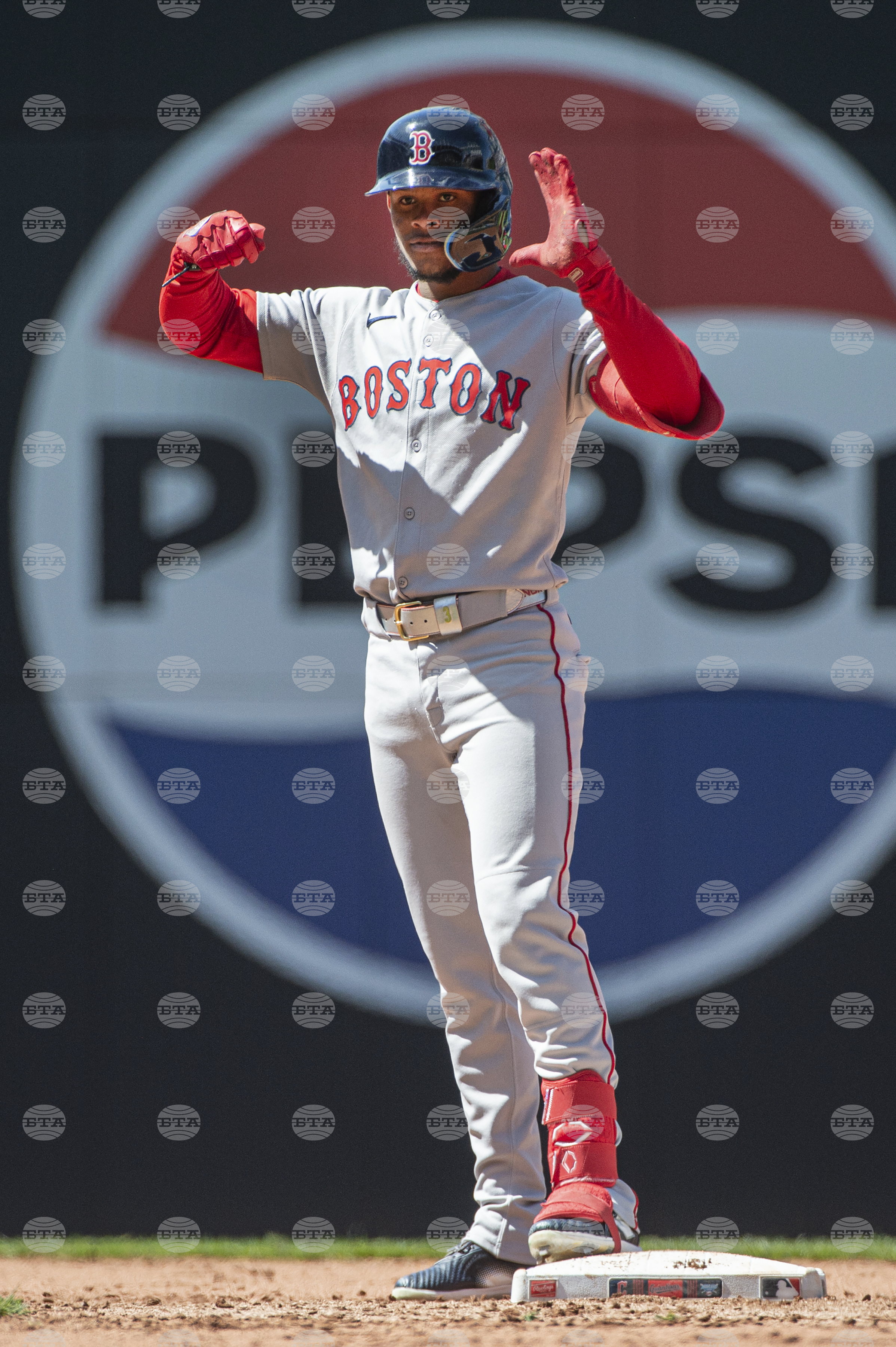 Red Sox Guardians Baseball