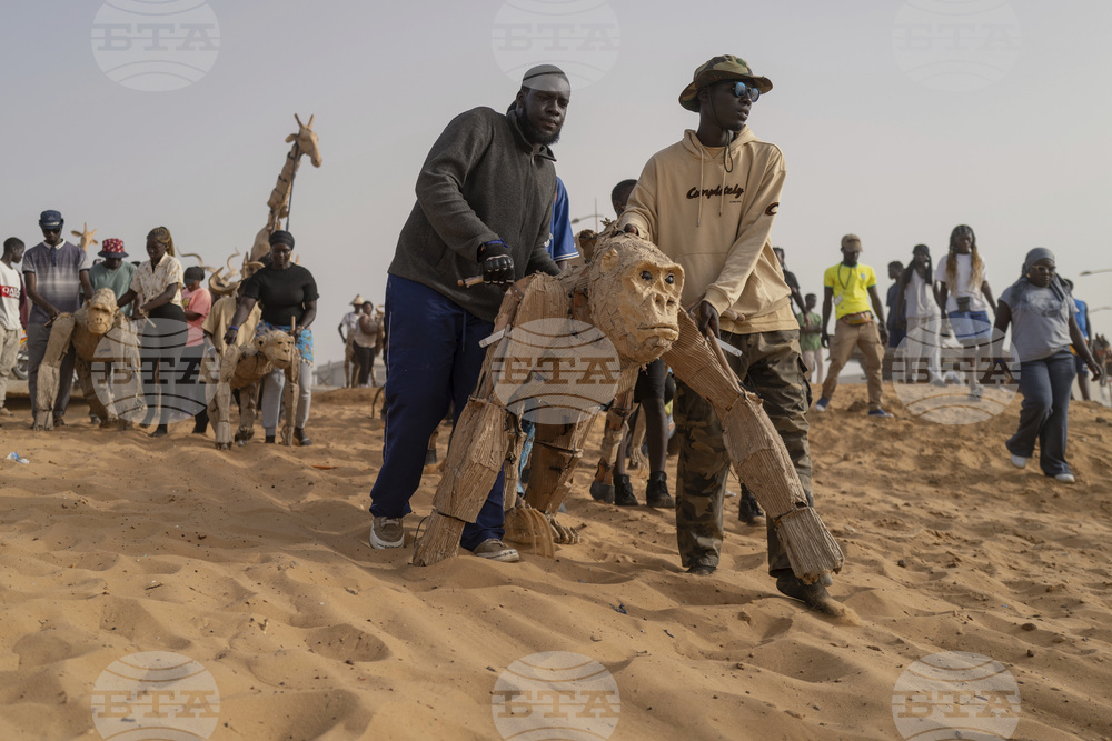 Senegal Herds