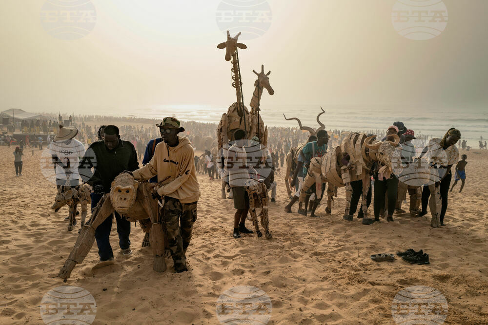 Senegal Herds