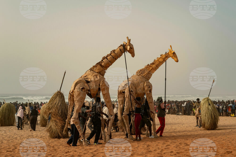 Senegal Herds