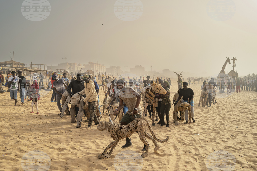 Senegal Herds