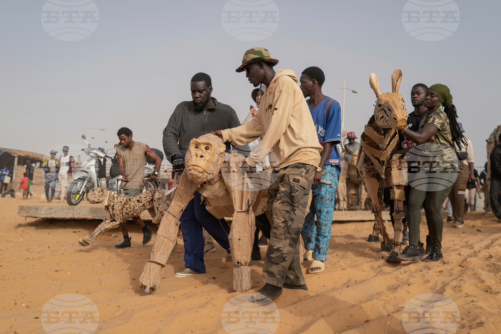 Senegal Herds