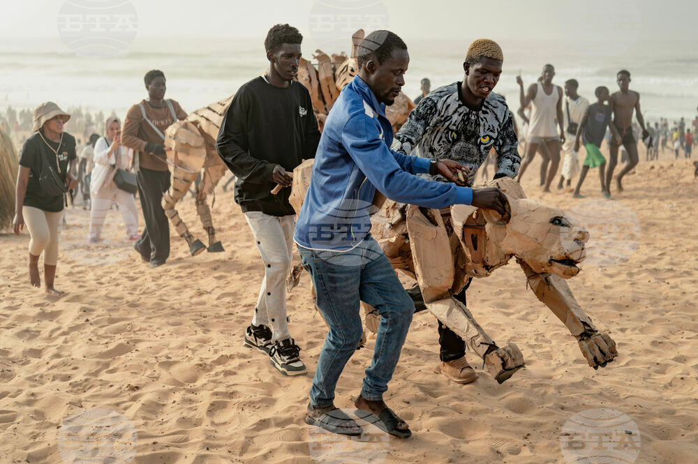 Senegal Herds
