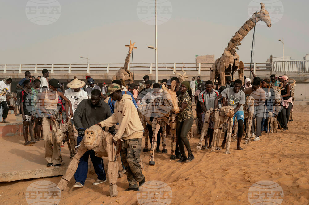 Senegal Herds