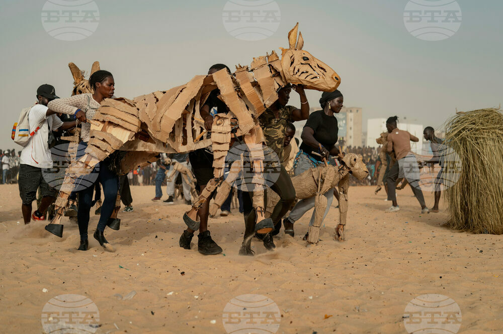 Senegal Herds
